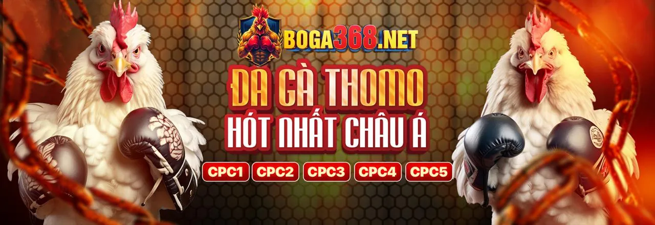 Quy tắc trò chơi kclub