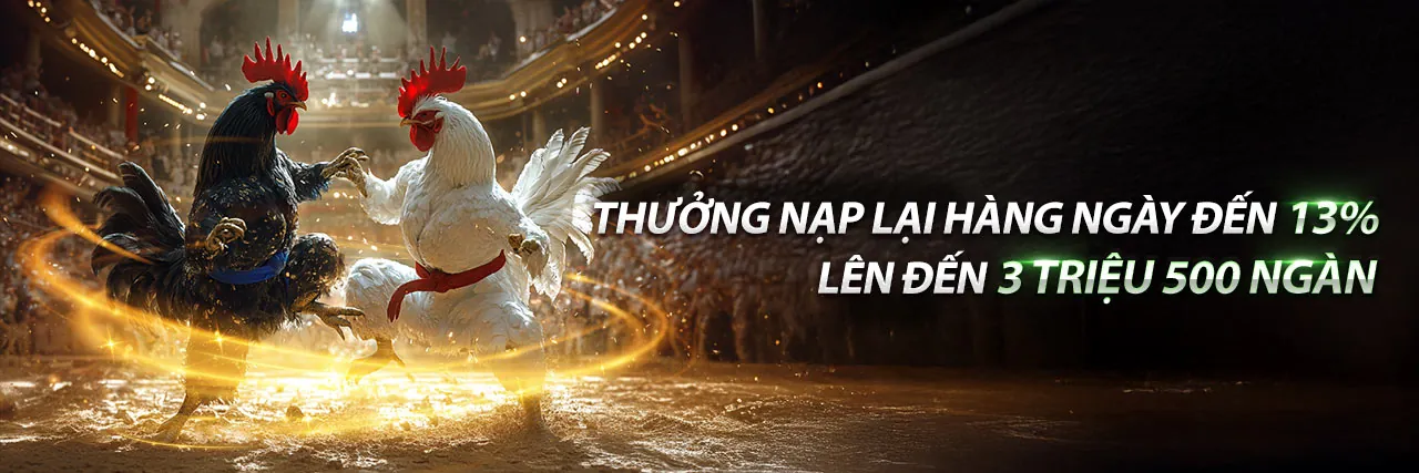 Đá Gà Trực Tuyến Kclub 2026